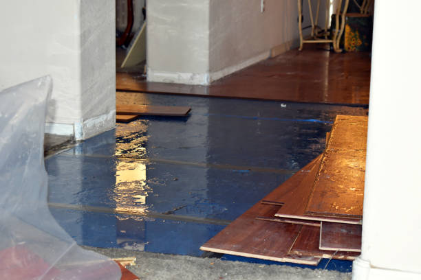 Professional Water Removal technician working in Davin, WV